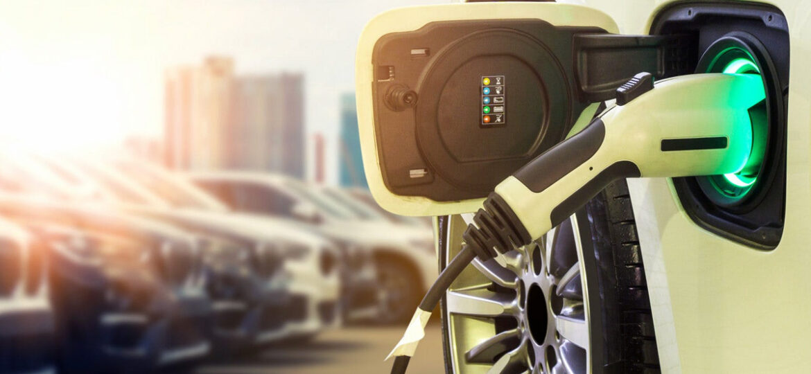 Consolidação e Visão de Futuro